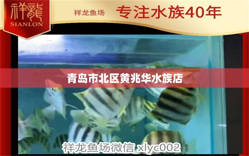 青岛市北区黄兆华水族店 全国水族馆企业名录