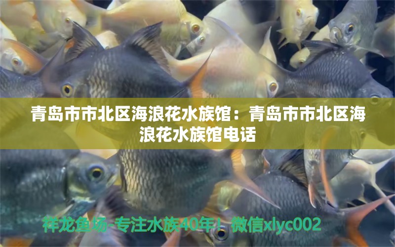 青岛市市北区海浪花水族馆：青岛市市北区海浪花水族馆电话 全国水族馆企业名录