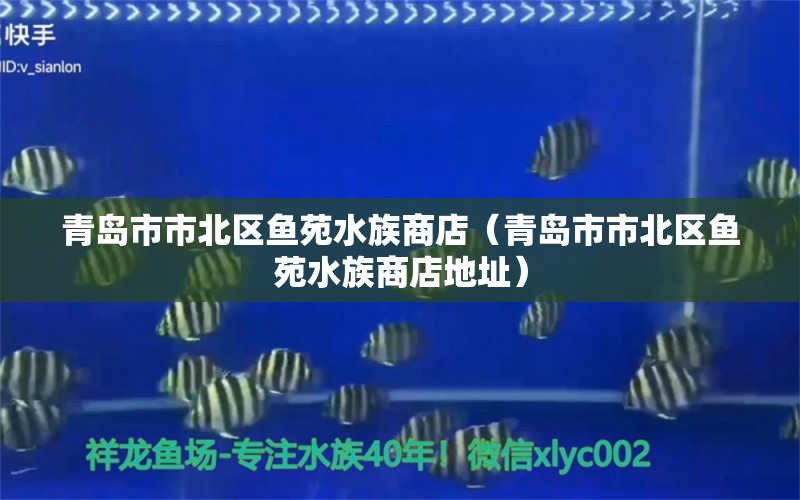 青岛市市北区鱼苑水族商店（青岛市市北区鱼苑水族商店地址） 全国水族馆企业名录