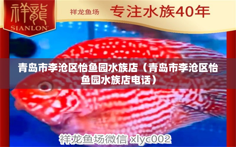 青岛市李沧区怡鱼园水族店（青岛市李沧区怡鱼园水族店电话）