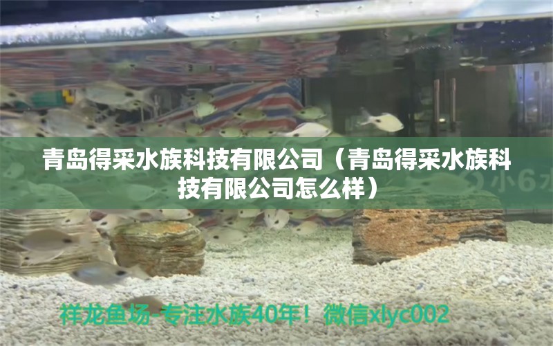 青岛得采水族科技有限公司（青岛得采水族科技有限公司怎么样） 全国水族馆企业名录