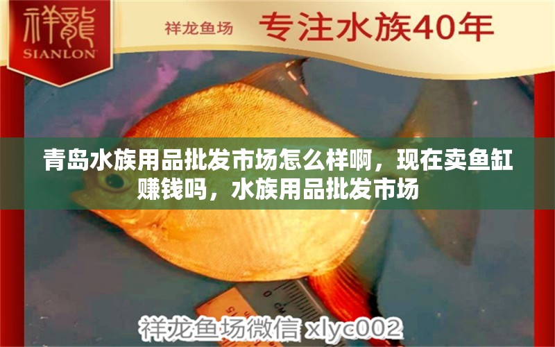 青岛水族用品批发市场怎么样啊，现在卖鱼缸赚钱吗，水族用品批发市场