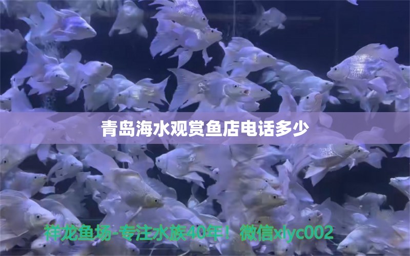 青岛海水观赏鱼店电话多少