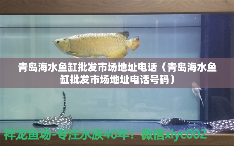 青岛海水鱼缸批发市场地址电话（青岛海水鱼缸批发市场地址电话号码） 海水鱼