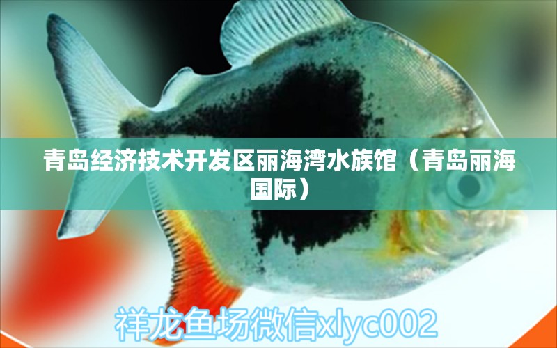 青岛经济技术开发区丽海湾水族馆（青岛丽海国际） 全国水族馆企业名录