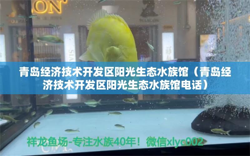 青岛经济技术开发区阳光生态水族馆（青岛经济技术开发区阳光生态水族馆电话） 全国水族馆企业名录