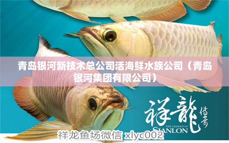 青岛银河新技术总公司活海鲜水族公司（青岛银河集团有限公司） 全国水族馆企业名录