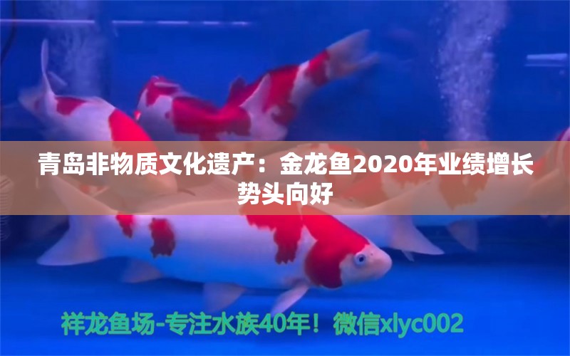 青岛非物质文化遗产：金龙鱼2020年业绩增长势头向好