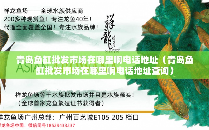 青岛鱼缸批发市场在哪里啊电话地址（青岛鱼缸批发市场在哪里啊电话地址查询）