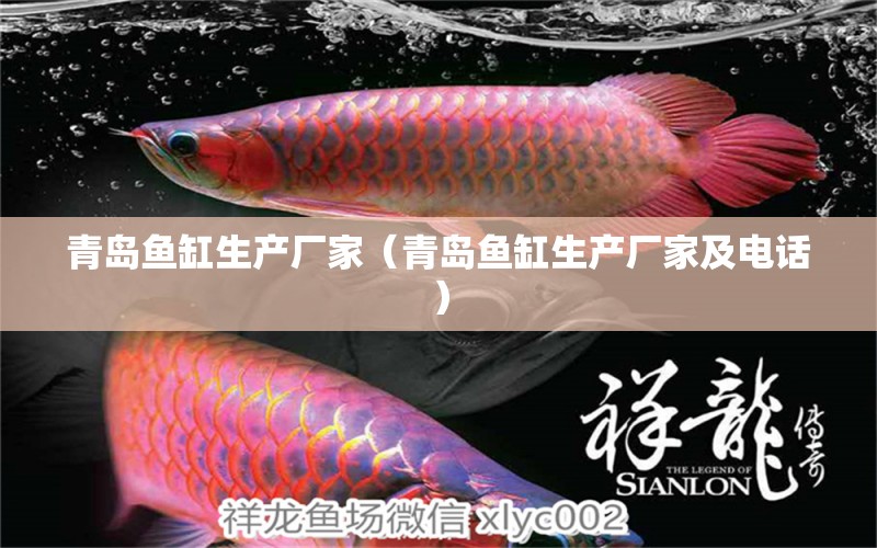 青岛鱼缸生产厂家（青岛鱼缸生产厂家及电话） 其他品牌鱼缸