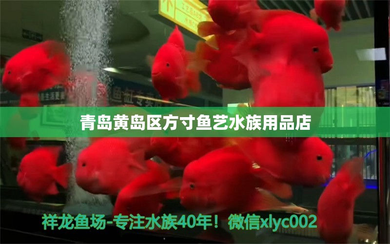 青岛黄岛区方寸鱼艺水族用品店 水族用品