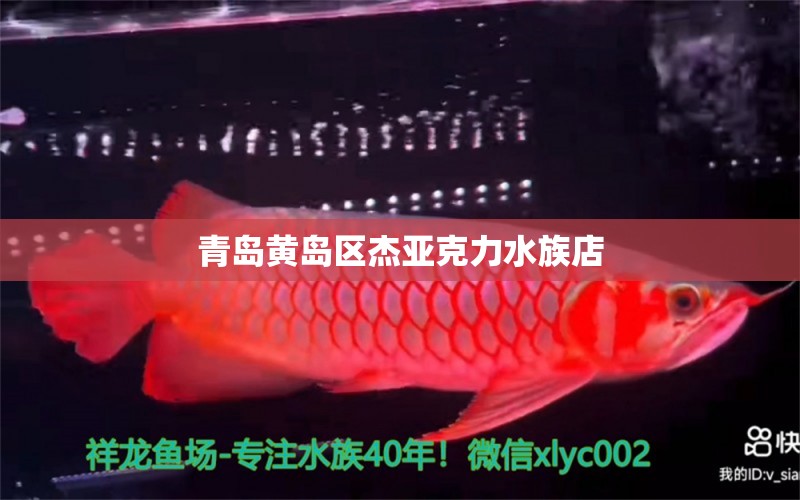 青岛黄岛区杰亚克力水族店 全国水族馆企业名录