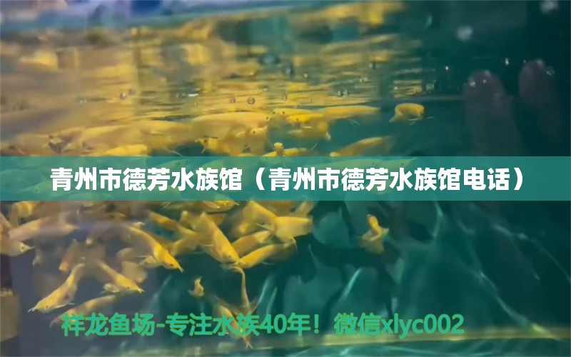 青州市德芳水族馆（青州市德芳水族馆电话） 全国水族馆企业名录