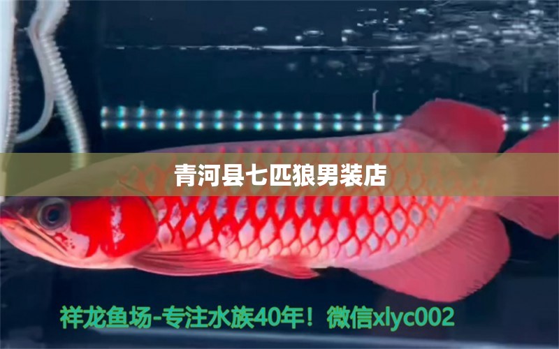 青河县七匹狼男装店 全国水族馆企业名录