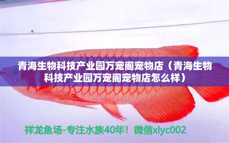 青海生物科技产业园万宠阁宠物店（青海生物科技产业园万宠阁宠物店怎么样） 全国水族馆企业名录