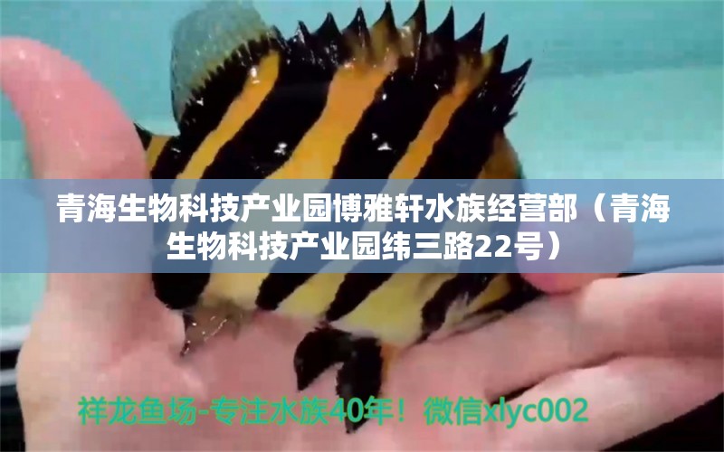 青海生物科技产业园博雅轩水族经营部（青海生物科技产业园纬三路22号）