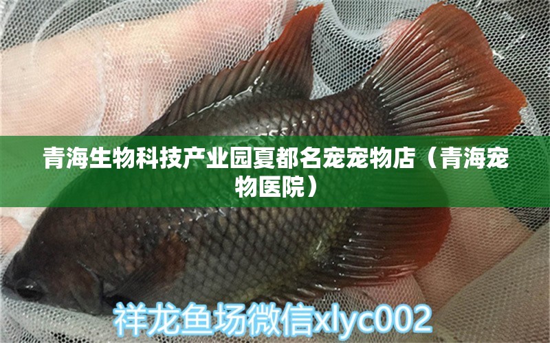 青海生物科技产业园夏都名宠宠物店（青海宠物医院） 全国水族馆企业名录