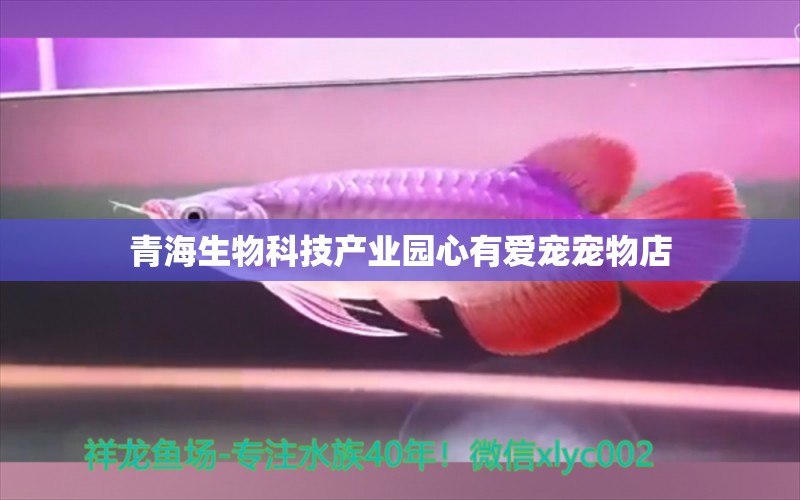 青海生物科技产业园心有爱宠宠物店 全国水族馆企业名录