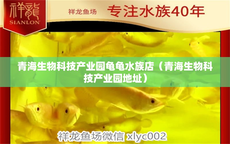 青海生物科技产业园龟龟水族店（青海生物科技产业园地址） 乌龟
