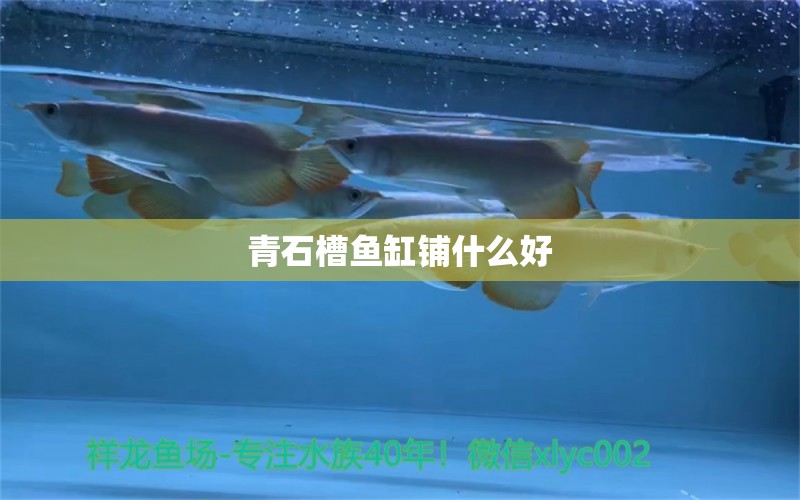 青石槽鱼缸铺什么好