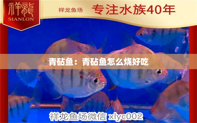 青砧鱼：青砧鱼怎么烧好吃 绿皮皇冠豹鱼
