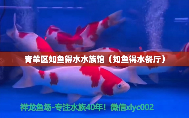 青羊区如鱼得水水族馆（如鱼得水餐厅） 全国水族馆企业名录