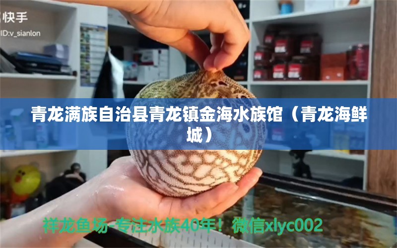 青龙满族自治县青龙镇金海水族馆（青龙海鲜城）