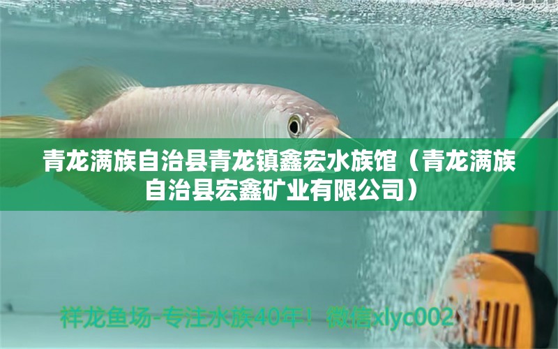 青龙满族自治县青龙镇鑫宏水族馆（青龙满族自治县宏鑫矿业有限公司）