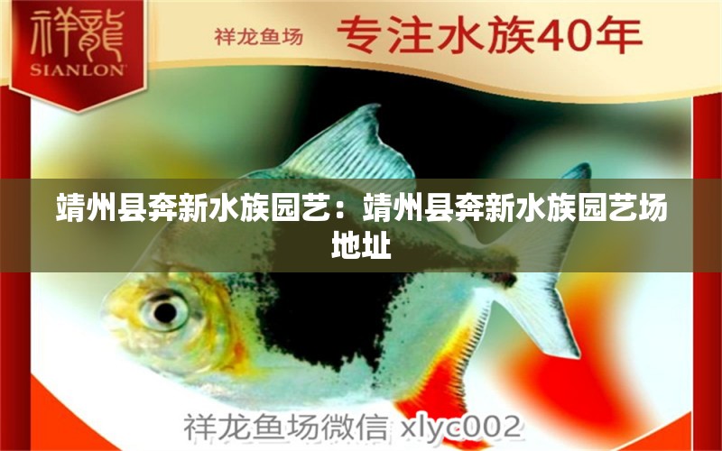 靖州县奔新水族园艺：靖州县奔新水族园艺场地址