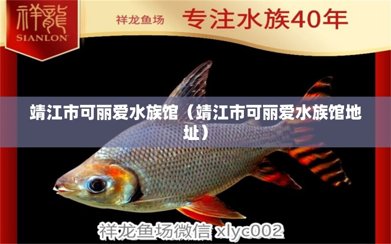 靖江市可丽爱水族馆（靖江市可丽爱水族馆地址） 全国水族馆企业名录