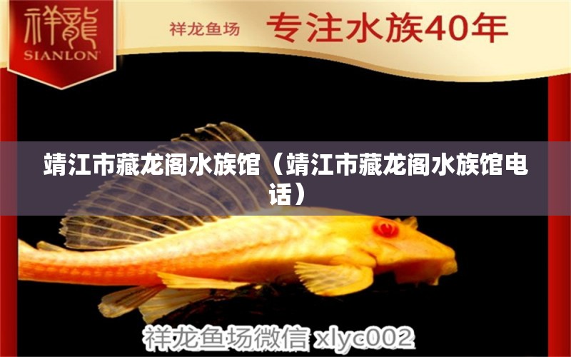 靖江市藏龙阁水族馆（靖江市藏龙阁水族馆电话） 全国水族馆企业名录