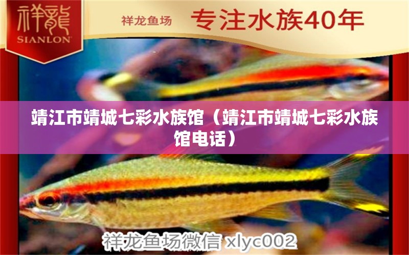 靖江市靖城七彩水族馆（靖江市靖城七彩水族馆电话） 全国水族馆企业名录