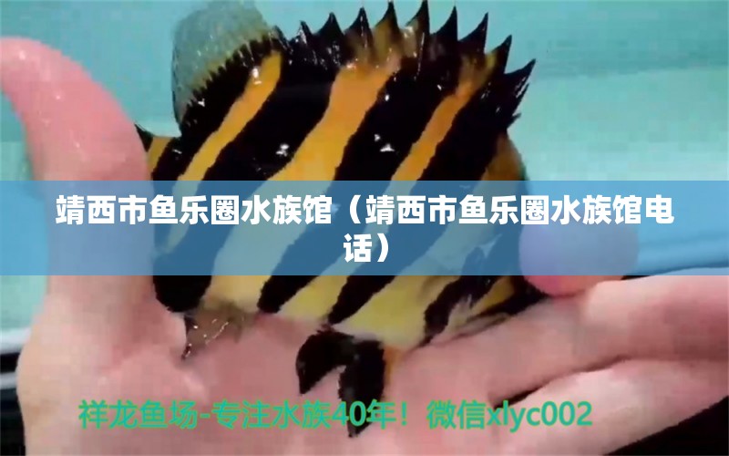 靖西市鱼乐圈水族馆（靖西市鱼乐圈水族馆电话） 全国水族馆企业名录