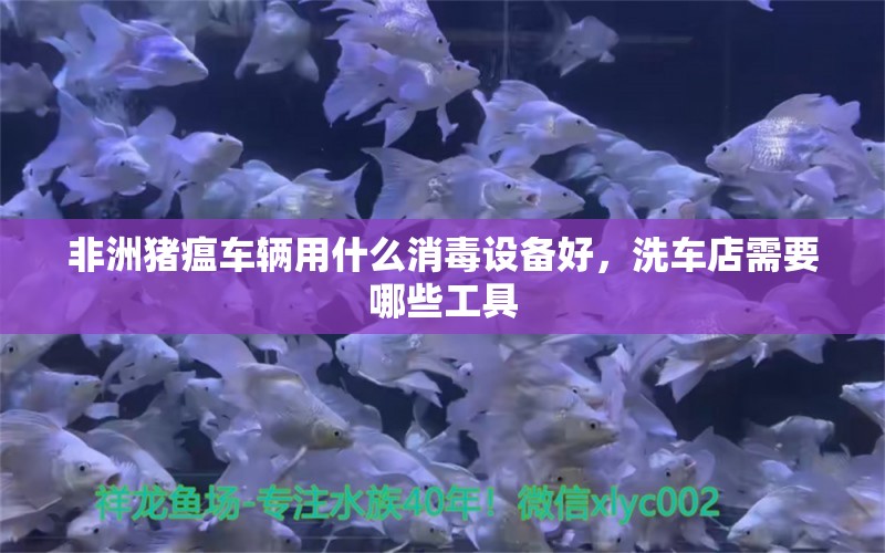 非洲猪瘟车辆用什么消毒设备好，洗车店需要哪些工具