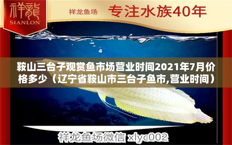 鞍山三台子观赏鱼市场营业时间2021年7月价格多少（辽宁省鞍山市三台子鱼市,营业时间） 观赏鱼市场（混养鱼）