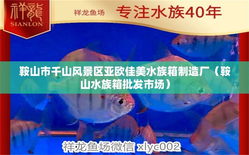 鞍山市千山风景区亚欧佳美水族箱制造厂（鞍山水族箱批发市场） 鱼缸/水族箱