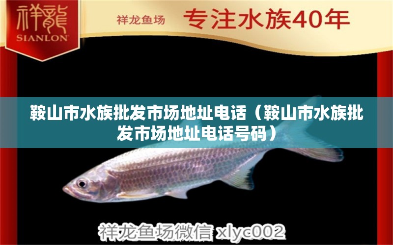 鞍山市水族批发市场地址电话（鞍山市水族批发市场地址电话号码）