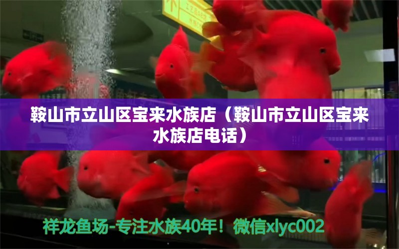 鞍山市立山区宝来水族店（鞍山市立山区宝来水族店电话） 全国水族馆企业名录