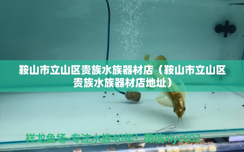 鞍山市立山区贵族水族器材店（鞍山市立山区贵族水族器材店地址） 全国水族馆企业名录