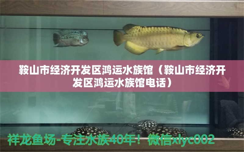 鞍山市经济开发区鸿运水族馆（鞍山市经济开发区鸿运水族馆电话）