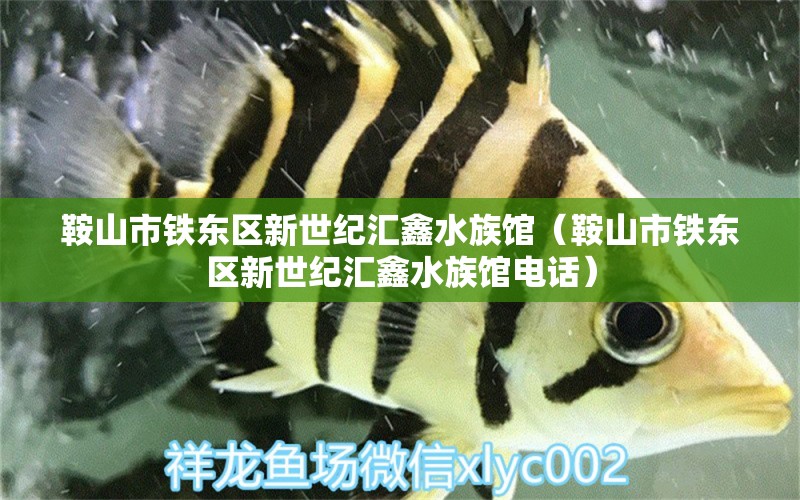 鞍山市铁东区新世纪汇鑫水族馆（鞍山市铁东区新世纪汇鑫水族馆电话）