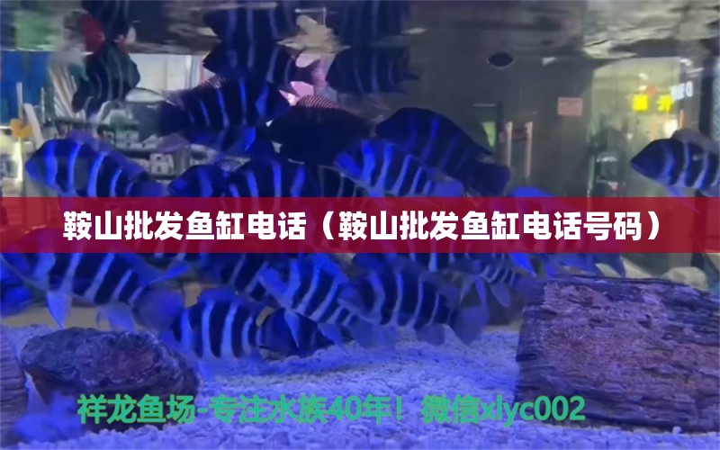 鞍山批发鱼缸电话（鞍山批发鱼缸电话号码） 其他品牌鱼缸