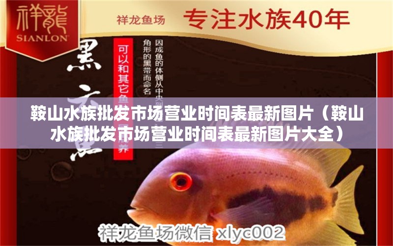 鞍山水族批发市场营业时间表最新图片（鞍山水族批发市场营业时间表最新图片大全）