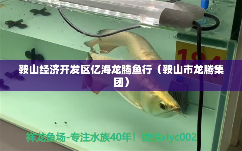 鞍山经济开发区亿海龙腾鱼行（鞍山市龙腾集团） 全国水族馆企业名录