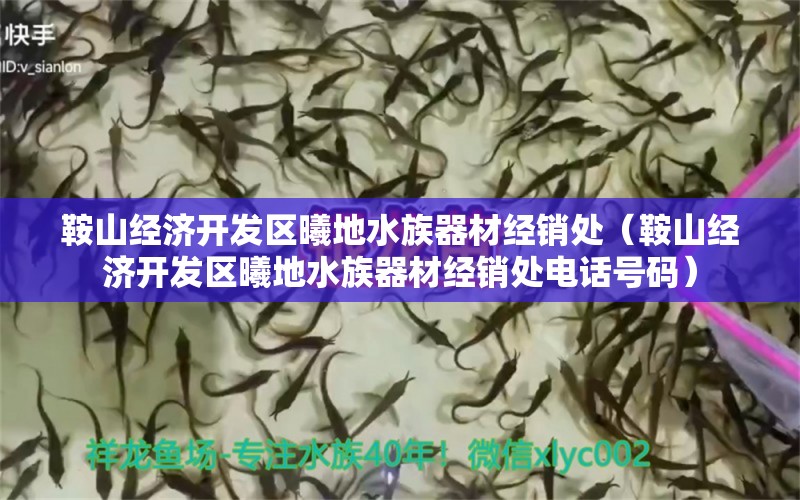 鞍山经济开发区曦地水族器材经销处（鞍山经济开发区曦地水族器材经销处电话号码）