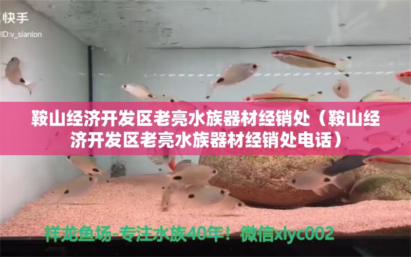 鞍山经济开发区老亮水族器材经销处（鞍山经济开发区老亮水族器材经销处电话） 全国水族馆企业名录