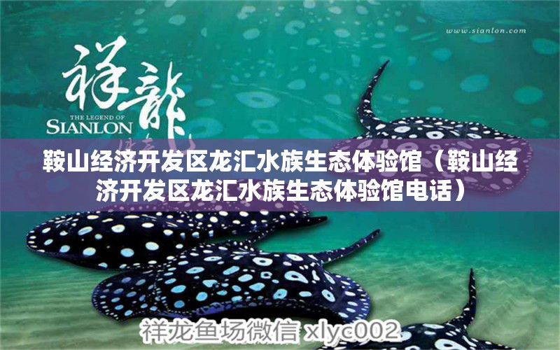 鞍山经济开发区龙汇水族生态体验馆（鞍山经济开发区龙汇水族生态体验馆电话）