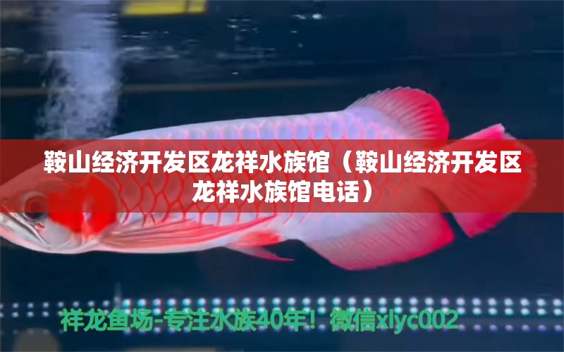 鞍山经济开发区龙祥水族馆（鞍山经济开发区龙祥水族馆电话）