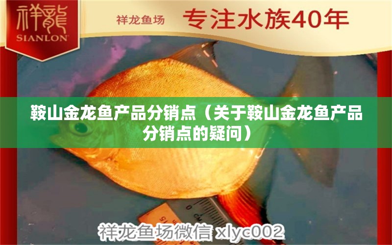 鞍山金龙鱼产品分销点（关于鞍山金龙鱼产品分销点的疑问） 水族问答 第1张