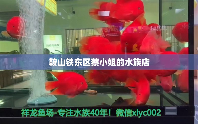 鞍山铁东区蔡小姐的水族店 全国水族馆企业名录 第3张